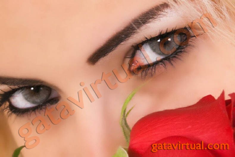 garotas em festa - Foto 5641
